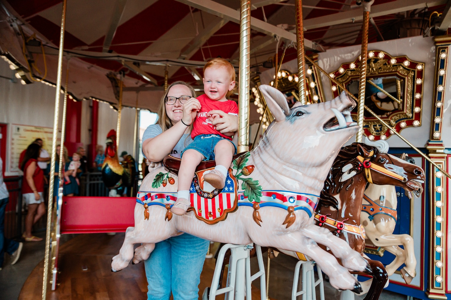 Young's Dairy Carousel