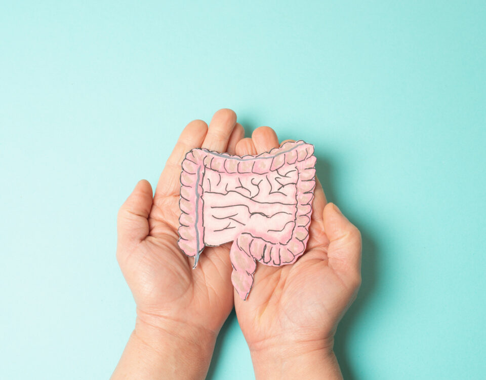 Colon, colorectal or rectal cancer, inflammatory bowel disease, weight loss, abdominal pain and fatigue, Morbus Crohn, ulcerative colitis, digestive system organ, medical health